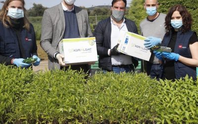 AlgaEnergy colabora con el IMIDRA en la donación de recursos a los agricultores