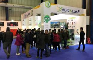 Great success of AlgaEnergy at Agroexpo 2018