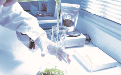 AlgaEnergy incorpora un proyecto más a su cartera de I+D+i