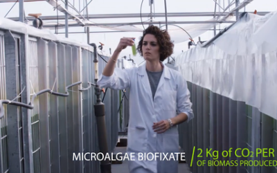 AlgaEnergy, empresa destacada en los EBA y nominada al “Premio a la Innovación”, opta al “European Public Winner”