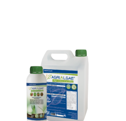 Crops treated with AgriAlgae® improve their performance significantly in terms of quantity and quality, according to a recent independent report