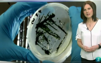 “Agrosfera” highlights the numerous benefits of the biostimulants AgriAlgae®