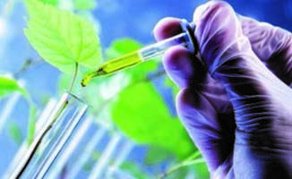 AlgaEnergy sponsors the “US Biostimulants Summit 2018”