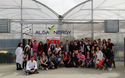 AlgaEnergy comparte su conocimiento sobre biotecnología de microalgas con estudiantes universitarios