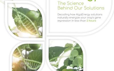 Genergy™: The science behind AlgaEnergy solutions
