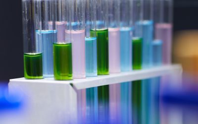 AlgaEnergy pone en marcha un nuevo proyecto de I+D+i en colaboración con la Universidad de Cádiz