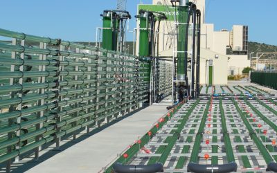 AlgaEnergy continúa en su proceso internacionalización con la creación de filiales en Turquía y Australia
