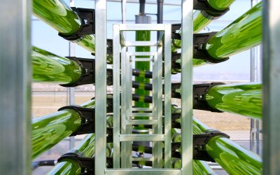 AlgaEnergy nombra a Fabricio Benatti V.P. Agribusiness en América Latina