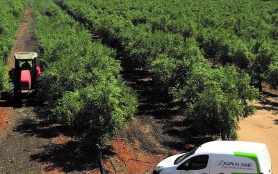 AlgaEnergy participa en la XXXIV edición de Agroexpo