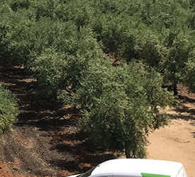AlgaEnergy participa en Agroexpo por tercer año consecutivo