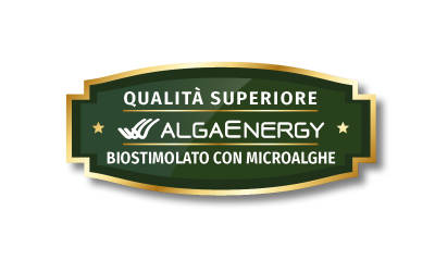 Los clientes de los productos bioestimulantes de AlgaEnergy sacan pecho