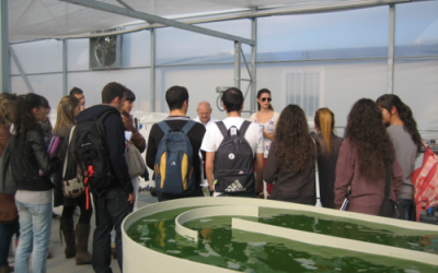 Estudiantes de Biología de la Universidad Juan Carlos I de Madrid, visitan la Plataforma Tecnológica de Experimentación con Microalgas (PTEM) de AlgaEnergy