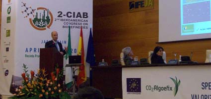 The CO2ALGAEFIX project has been presented in Bioptima 2013, in Jaen, during the II Iberoamerican Conference on Biorefineries (2-CIAB)