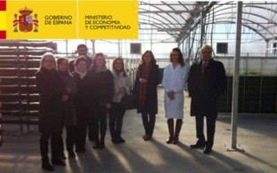 Representantes del Ministerio de Economía y Competitividad visitan la planta PTEM de AlgaEnergy