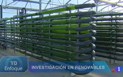 AlgaEnergy en el Telediario de TVE1