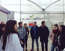AlgaEnergy comparte su conocimiento sobre biotecnología de microalgas con más de 150 estudiantes universitarios