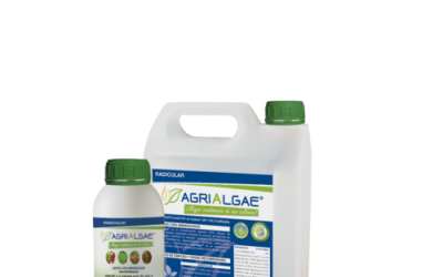 Los cultivos tratados con AgriAlgae® mejoran notablemente en calidad y rendimiento de la producción, según un reciente estudio del iMiDRA