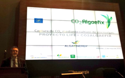 AlgaEnergy participa en la jornada “Fijación de CO2 en tecnologías bioenergéticas”