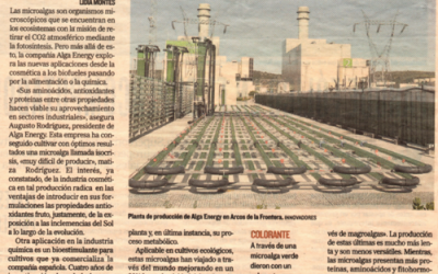 El periódico EL MUNDO publica un artículo sobre AlgaEnergy y sus actividades